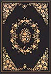  Aubusson Original design rug 